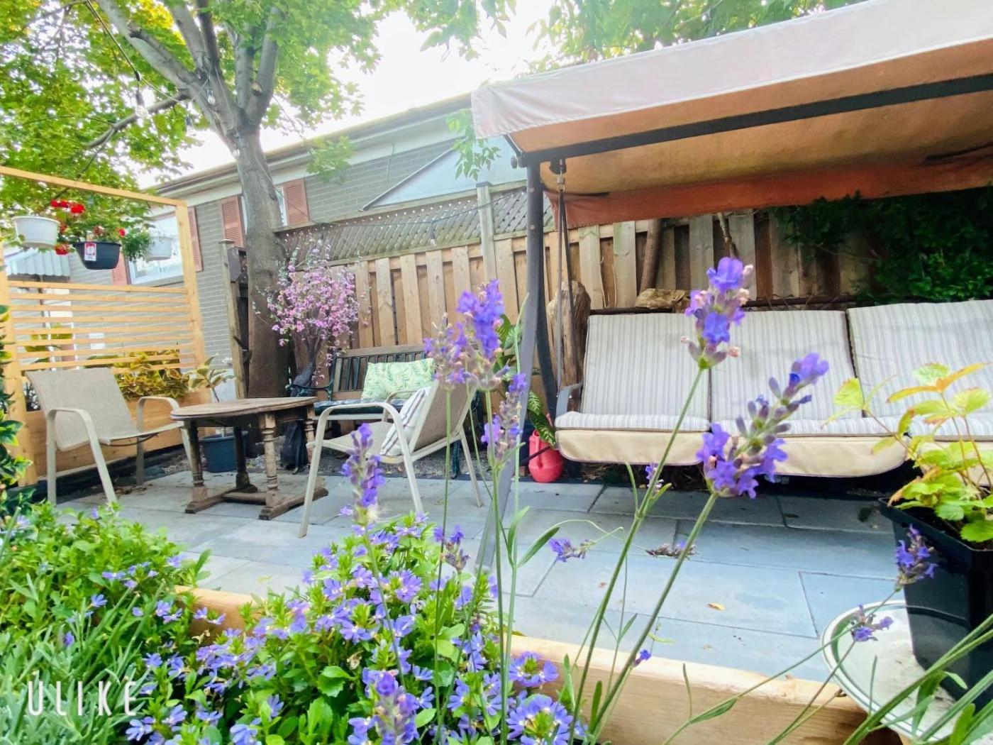 Toronto Bed & Breakfast - Free Parking ภายนอก รูปภาพ